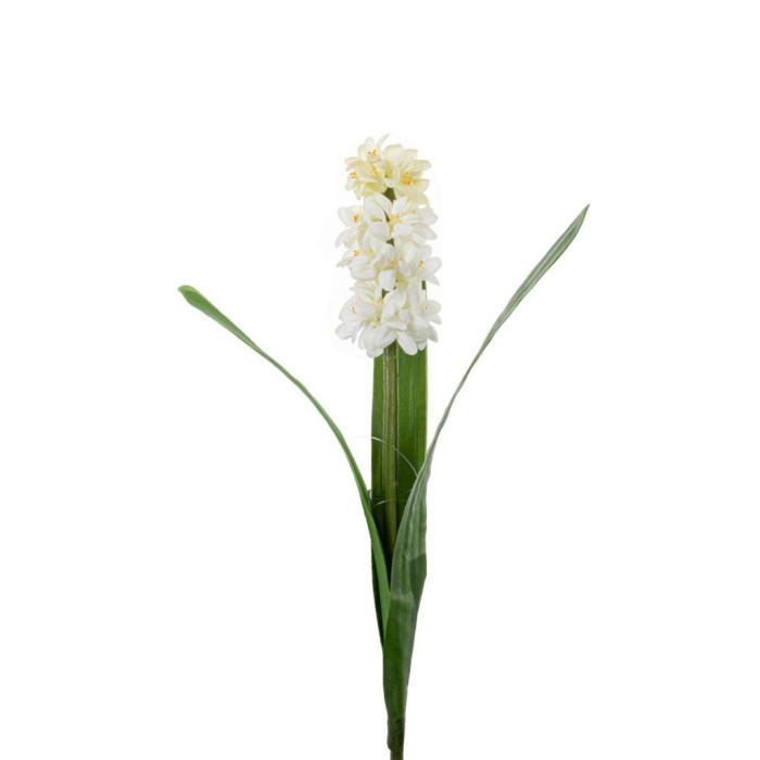 GIACINTO SINGOLO CREAM 45CM